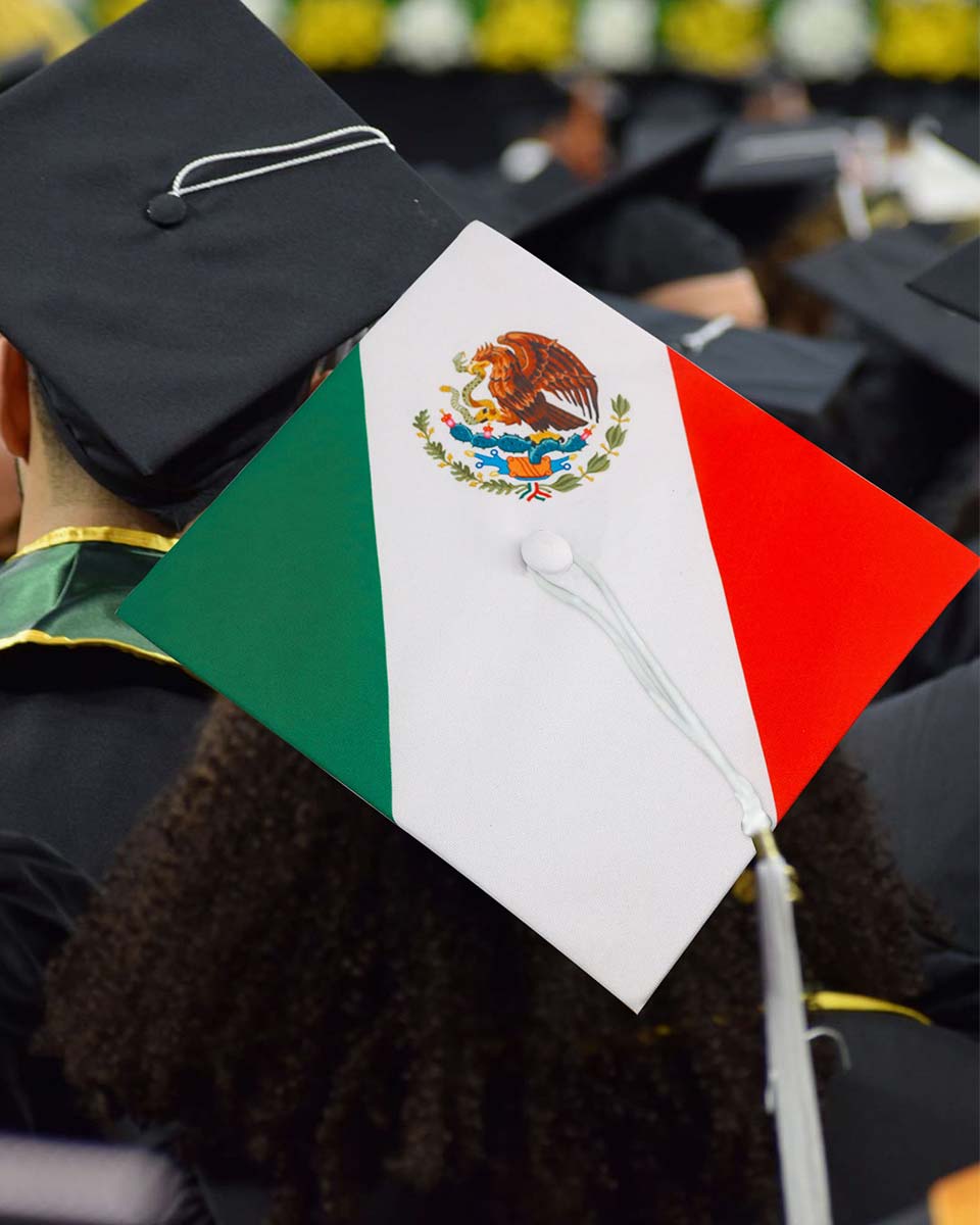 Unisex Adult Matte Flag Print Graduation Cap – 3 Styles Available